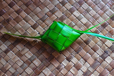 High angle view of green leaf on stone wall