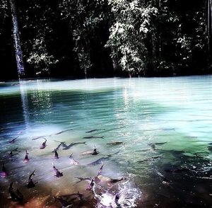 water