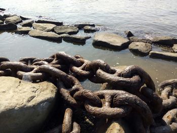 Close-up of rocks at shore