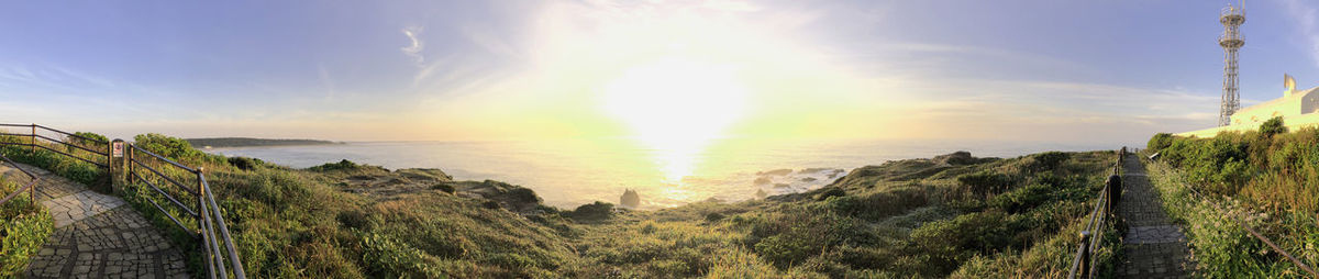 Panoramic shot of trees on landscape against sky