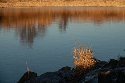 Scenic view of lake