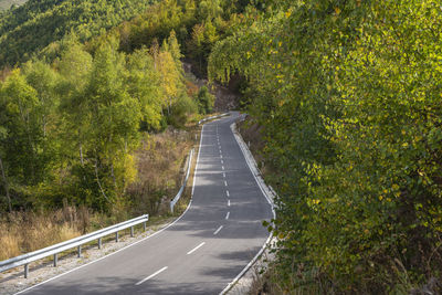 Road amidst trees and plants