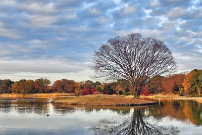 Scenic view of lake against sky