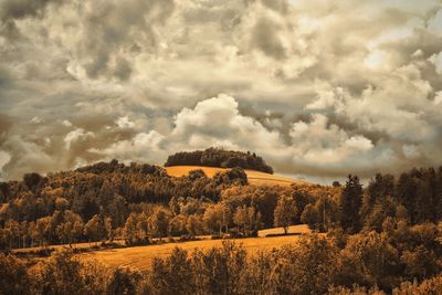 Trees on landscape against cloudy sky