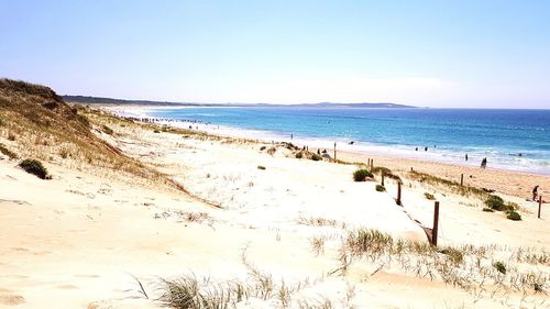 Scenic view of beach against clear sky