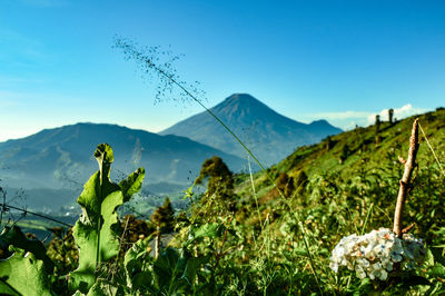 Scenic view of mountains against blue sky