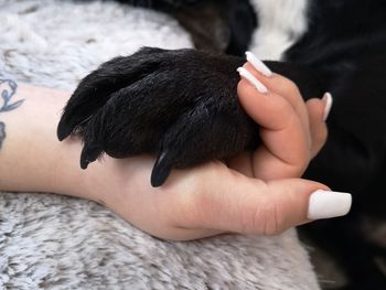 Cropped image of person hand on bed