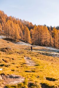 Rear view of woman walking on mountain during autumn