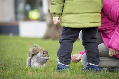 Low section of people feeding squirrel on grass