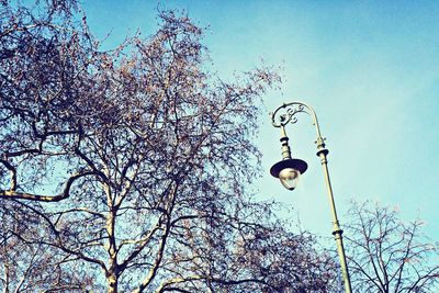 Low angle view of bare tree against blue sky