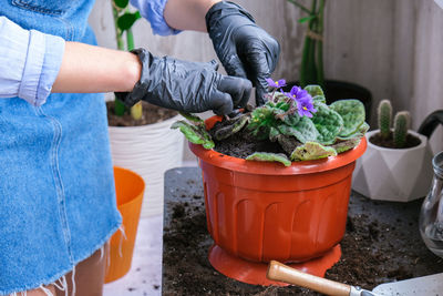 Midsection of woman holding potted plant