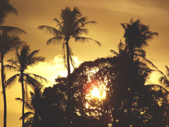 Low angle view of silhouette palm trees against sky during sunset