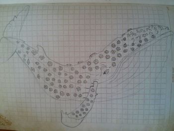 wall - building feature