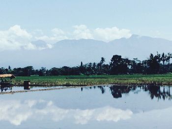 Scenic view of lake by field against sky