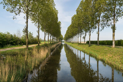 Scenic view of canal amidst trees against sky