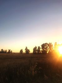 Scenic view of field against clear sky during sunset