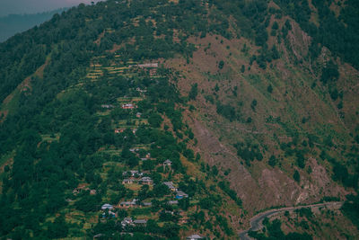 High angle view of trees on field