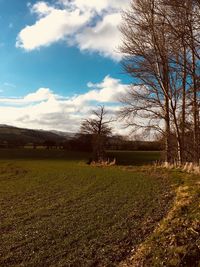 Bare trees on field against sky