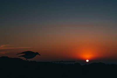 Silhouette bird perching on sea against sky during sunset