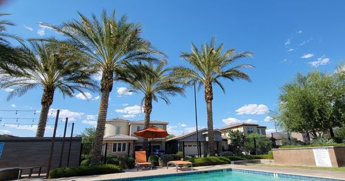 Palm trees and buildings against blue sky