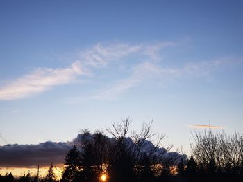 Silhouette trees against sky during sunset