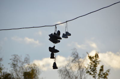 Low angle view of shoes hanging on tree against sky