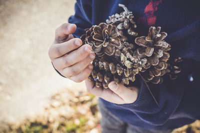 Midsection of boy holding pine cones