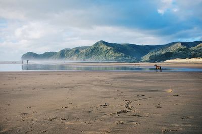 Scenic view of beach against cloudy sky