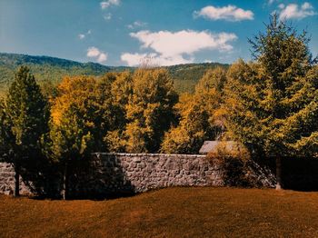 View of one stone wall.