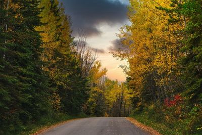 Road amidst trees against sky during autumn