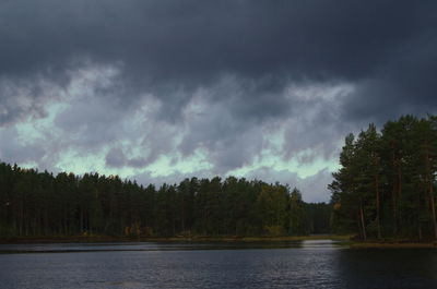 Scenic view of lake amidst trees in forest against sky