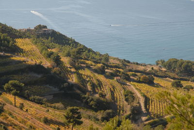 High angle view of land and sea