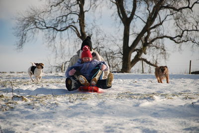 Girl and mother enjoying sledging on snow amidst dogs