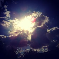 Low angle view of trees against sky