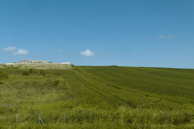 Scenic view of field against sky