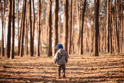 Rear view of boy walking in forest