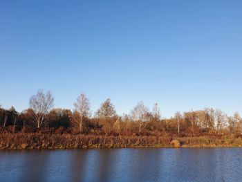 Scenic view of lake against clear blue sky