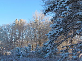 Scenic view of snow covered landscape