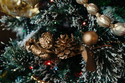 Close-up of christmas tree