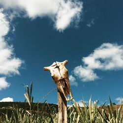 Low angle view of cloudy sky