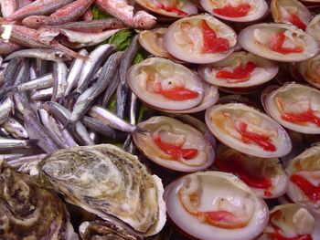 Close-up of oysters by fish for sale at market stall