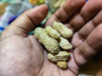 High angle view of hand holding peanuts