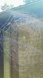 Full frame shot of spider web against sky