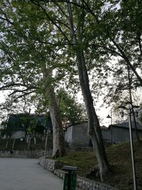 Trees in park by building against sky