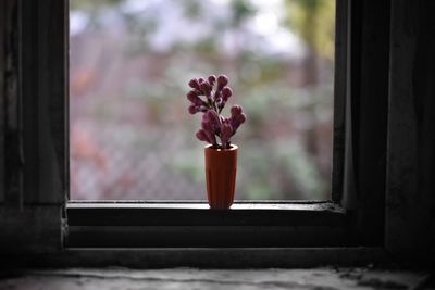 Close-up of miniature flowers in vase on window sill
