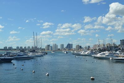 Sailboats in sea with city in background