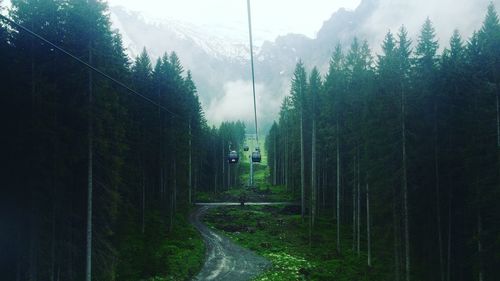 Panoramic view of trees against sky