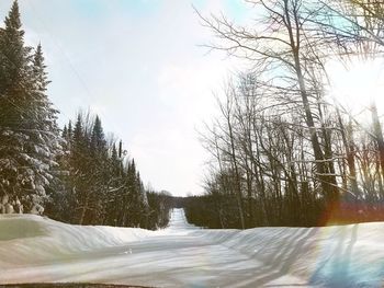 Bare trees on snow covered land against sky