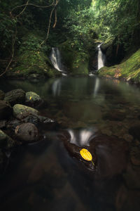 Waterfall in forest