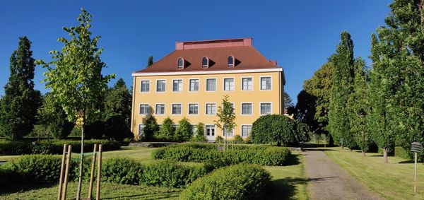 Trees and plants in garden against clear sky